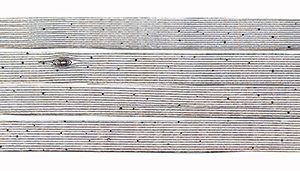 GRANDES PLANCHES. Kit planches de menuiserie : 2 étages et demi de planches en cours de séchage et les supports correspondants