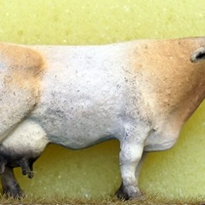 VACHE SIMMENTAL PEINTE