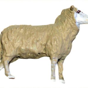 BREBIS en ÉTAIM PEINTE