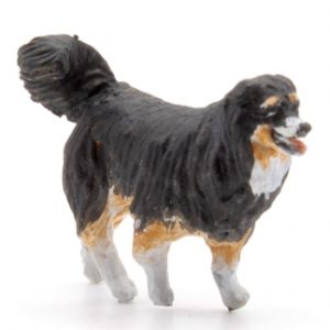 CHIEN RACE BOUVIER BERNOIS